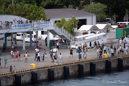 4.27~5.03 GW小笠原諸島 4.27~5.03 GW小笠原諸島