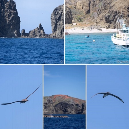 4.27~5.03 GW小笠原諸島 4.27~5.03 GW小笠原諸島