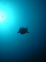 フィリピン・セブ島ツアーのご案内 フィリピン・セブ島ツアーのご案内
