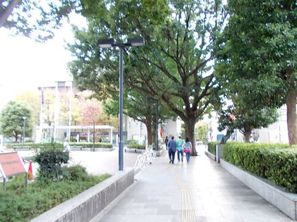 中央図書館前