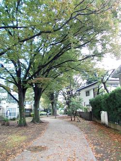 本町公園