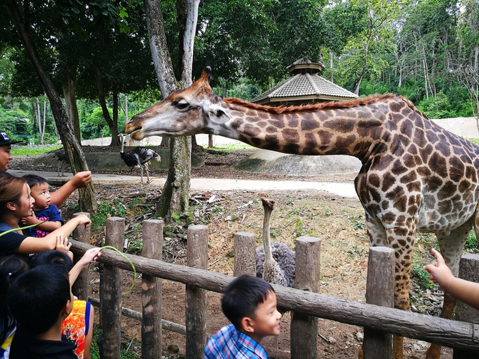 タイ　チェンマイ動物園