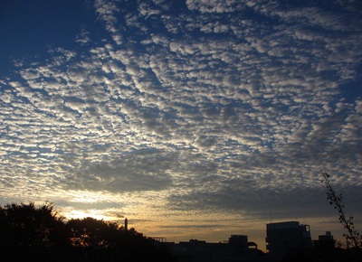 うろこ雲と朝日