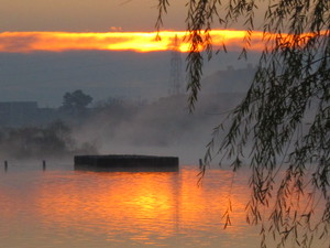多摩川の日の出と川霧