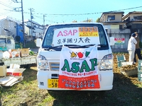 アジアの子供たちの就学を支援するASAPさんの畑で京芋掘り、お土産に樹までもらっちゃった♪