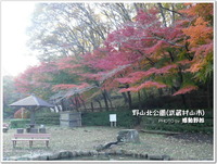 野山北公園(武蔵村山市)の紅葉-2012年11月24日-