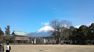 新年は、富士山とおせち