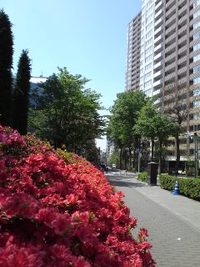 さわやかな朝に思うこと