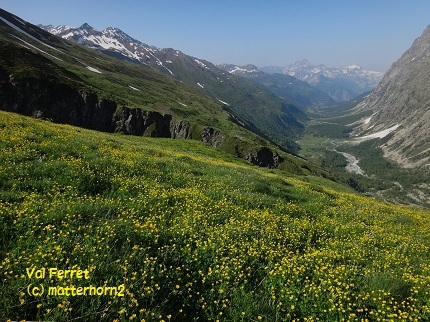 TMB: 花畑の中を スイスとの国境大フェレ峠へ