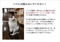 大事なお知らせ