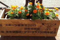 スポーツ祭東京2013まであと1日