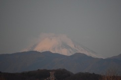 初日の出／富士山／味スタ