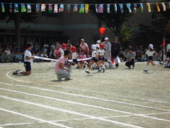 晃華学園小運動会／市民体育祭バレー・卓球・ソフトテニス・柔道