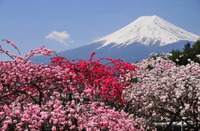 「富士山作品集 2012春」