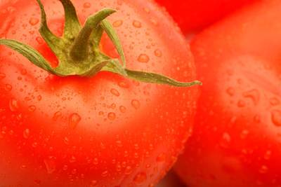 有機トマト農法方式で人の潜在能力を引き出そう
