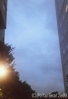 都市センター会館北側の平河梅林坂からの空です☆＝