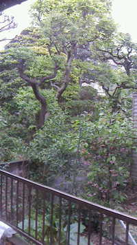 東京は雨空です