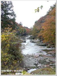 多摩地区の紅葉：秋川渓谷2010