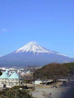 新年もよろしくお願いします!