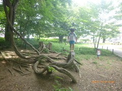 とっとこ７月１６日大木島自然公園
