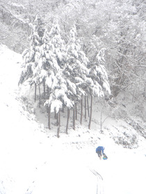 雪の新年