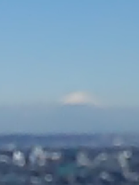 2017.1.26 キャロットタワーから観た富士山と新宿高層街（東京・世田谷区）