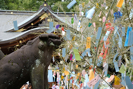 七夕祭り - 布多天神社
