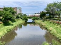 野川と京王線