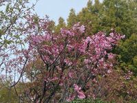 聞くのは一時の恥、聞かぬは一生の恥？？？