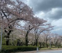 大学時代、個性を磨こう！