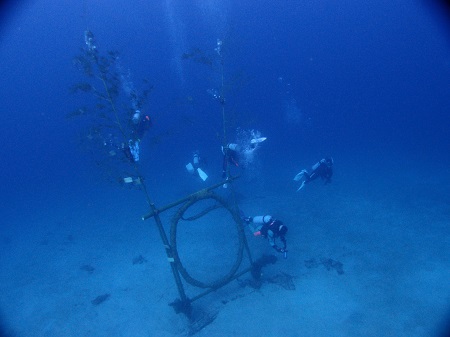 ２０１５年 １．０３　初潜り！初島