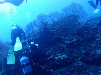 ７．０３～０８　沖縄・座間味島