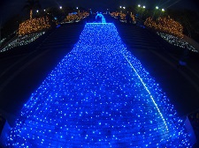 １１．１５沖縄４日目伊江島