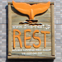 明日は店舗臨時休業です