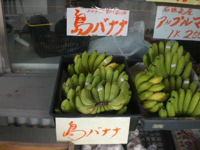 沖縄のバナナ
