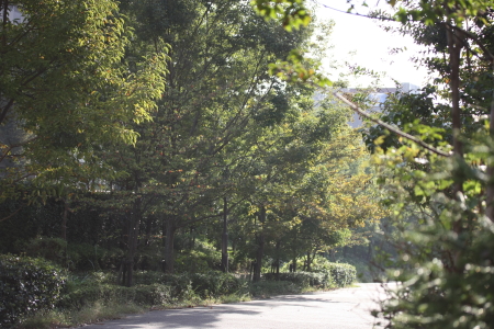 記事が難産