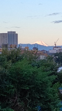富士山の冠雪、初めての真っ白な富士山