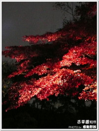 多摩地区の紅葉：京王百草園2010