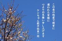 お見舞い申し上げます