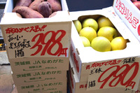本日のサービス品！