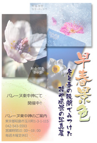 「早春景色」写真展～アヤトナ