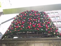 エイベックのX’mas　tree