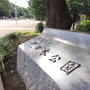Minamiwaニットカフェ 会場変更いたしましたのでご注意ください ２０１７ニットピクニック 代々木公園