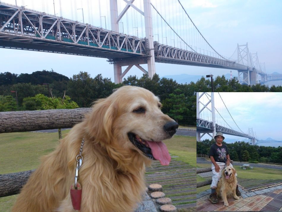 コロ君の日本探訪ＨＰより、瀬戸大橋