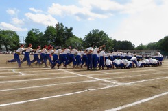 調布中学校 体育祭