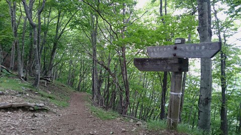 鷹ノ巣山を歩きました。２０１７年６月。