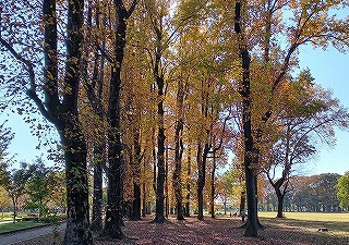 高校英語長文。わからなくても諦めず、わかるところから読み直す。