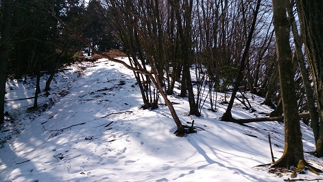 川苔山を歩いてきました。２０１６年２月。