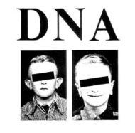 DNA(2/3)