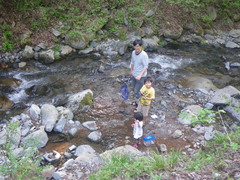 加藤家とあおくんは川で生き物採集